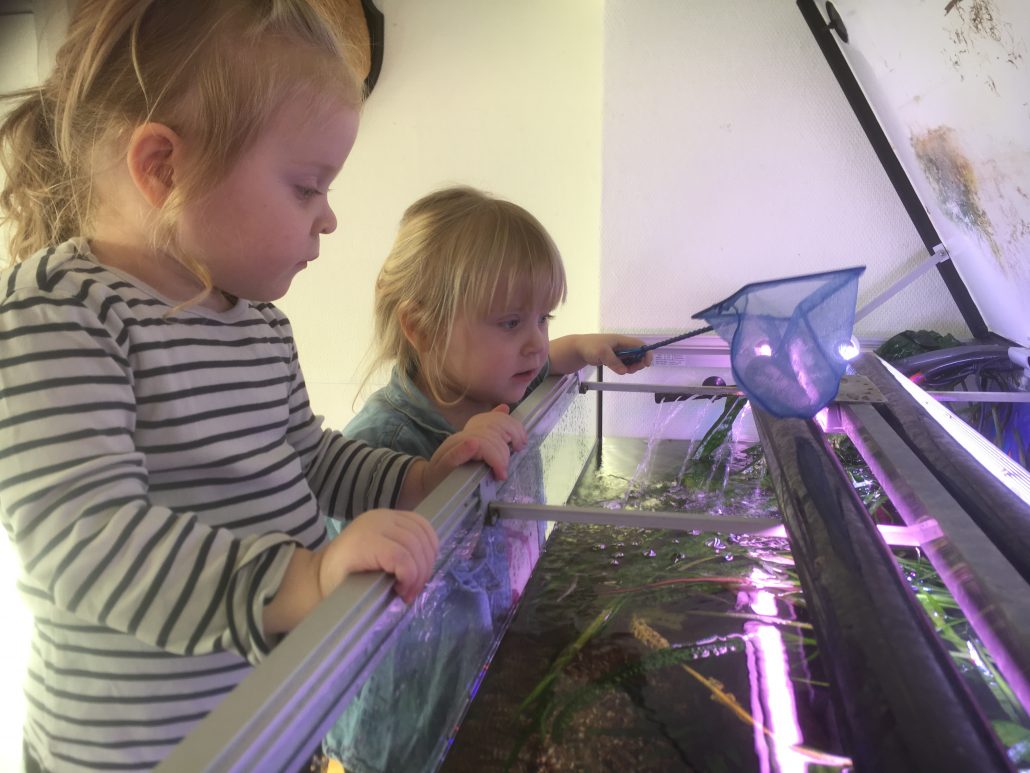 små børn der kigger i et akvarie